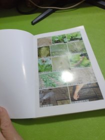 棚室蔬菜栽培图解丛书 图说棚室叶菜类蔬菜栽培关键技术 如图现货速发