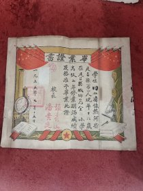 五十年代毕业证书