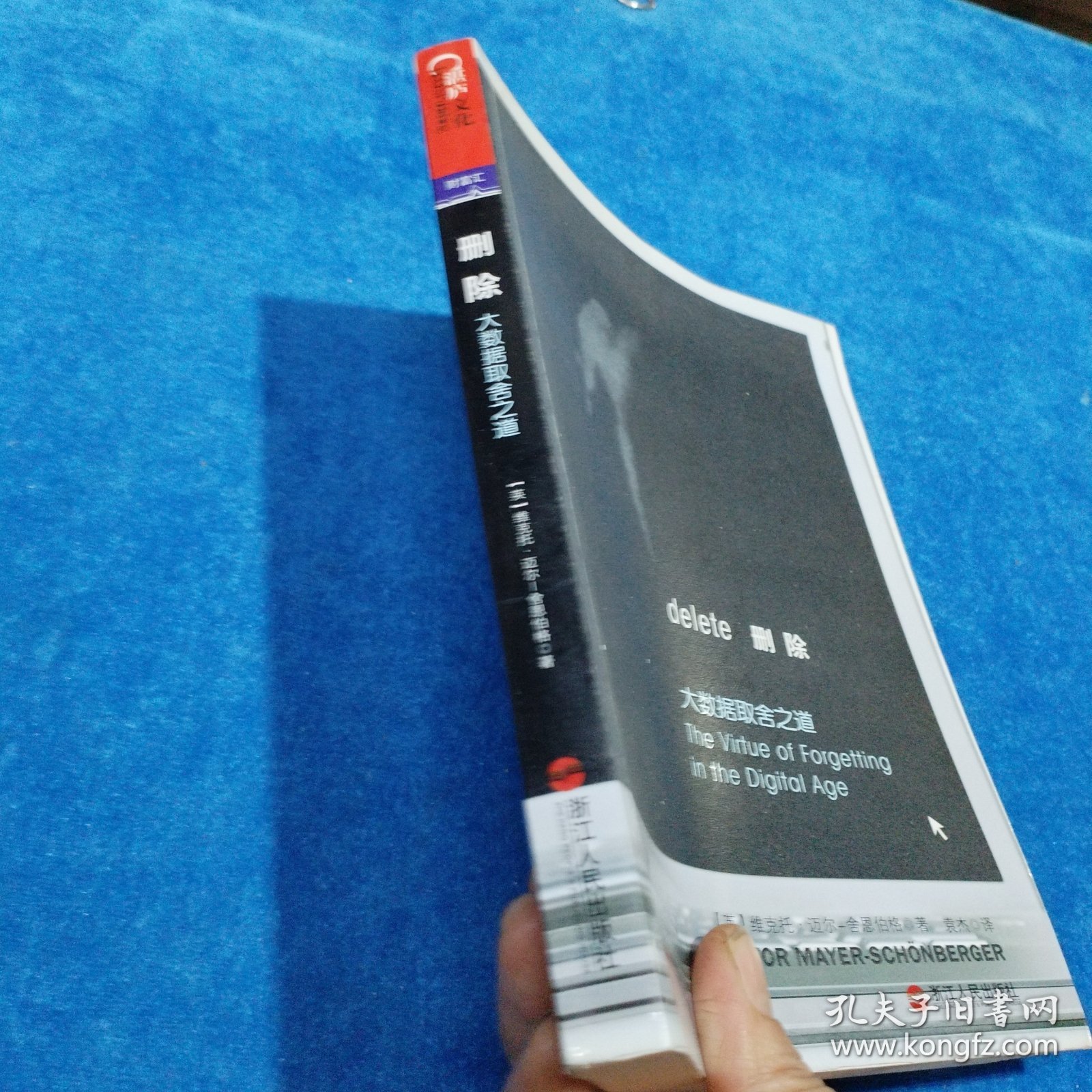 删除：大数据取舍之道