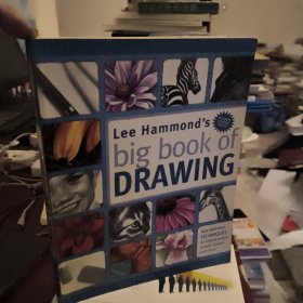 LeeHammond'sBigBookofDrawing