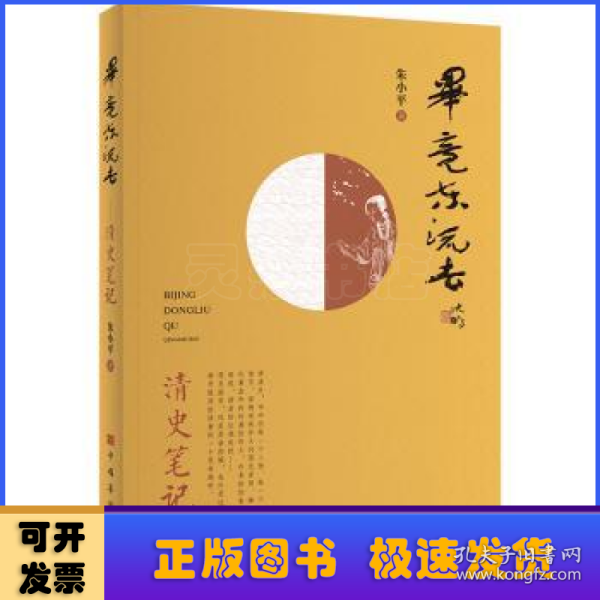 毕竟东流去：清史笔记（从北洋舰队说起，将历史串进鲜活的人物中，娓娓道来）