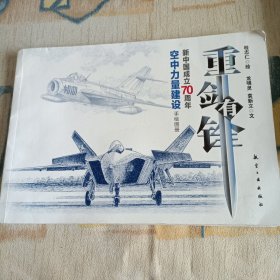 重剑有锋：新中国成立70周年空中力量建设手绘图册