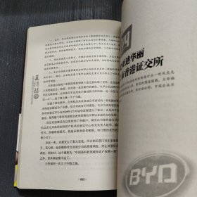 王传福传：比亚迪神话