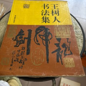 王树人书法集