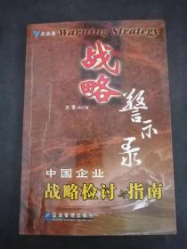 战略警示录：中国企业战略检讨与指南