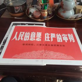 人民的意愿，庄严的审判审判，江青反革命集团主犯