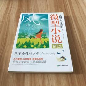 中国学生必读的微型小说精选：风中奔跑的少年