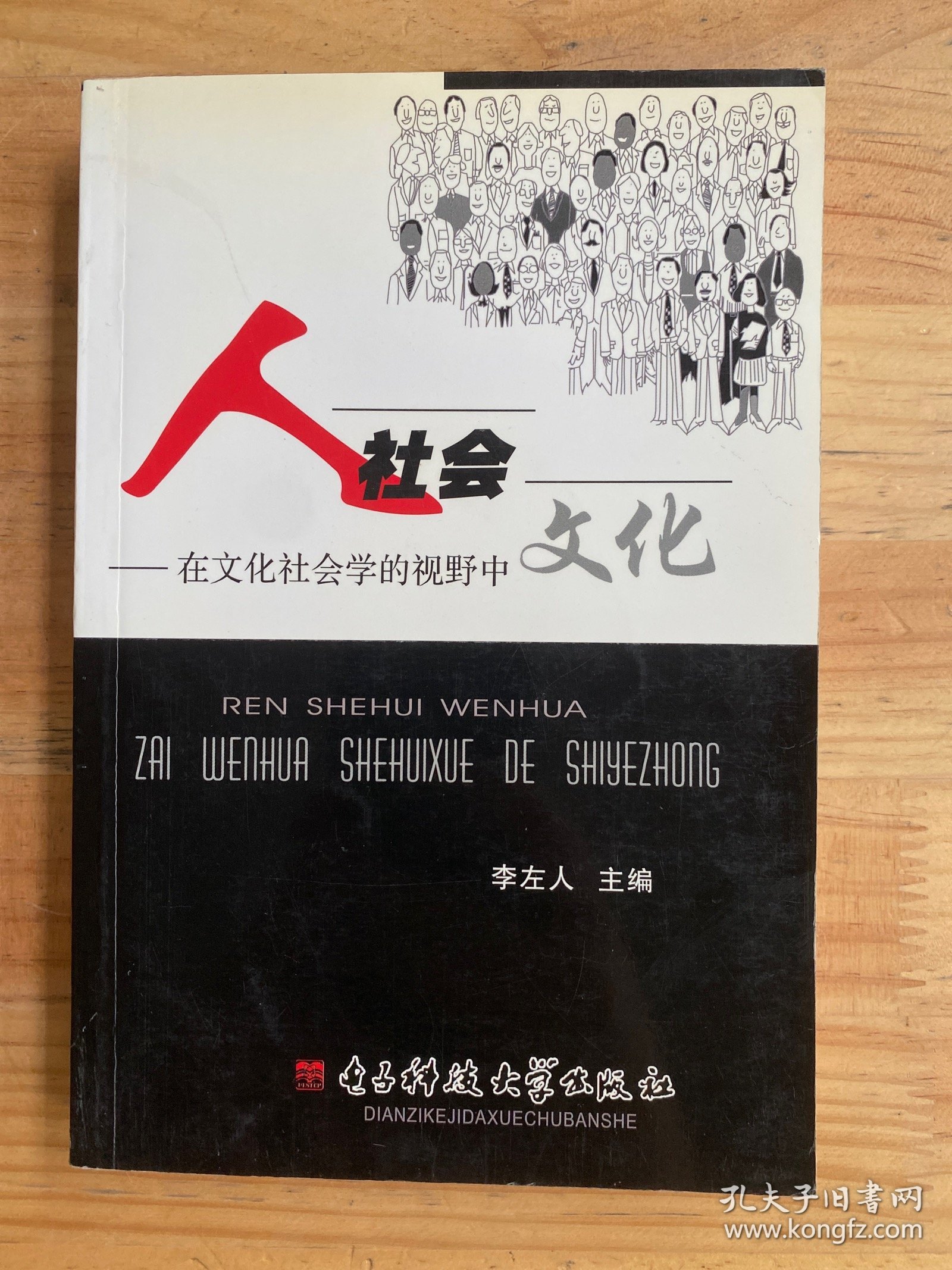 人社会文化——在文化社会学的视野中
