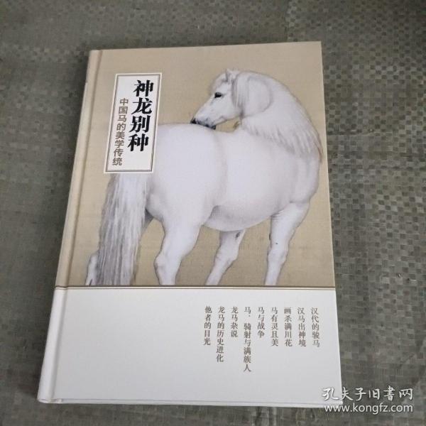 神龙别种：中国马的美学传统