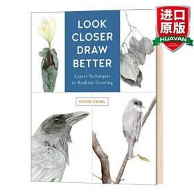 英文原版 Look Closer, Draw Better: Expert Techniques for Realistic Drawing  看得更近，画得更好：写实绘画的专家技术 英文版 进口英语原版书籍
