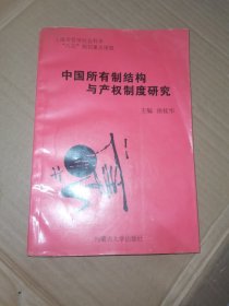 中国所有制结构与产权制度研究