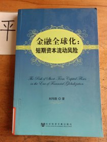 金融全球化：短期资本流动风险