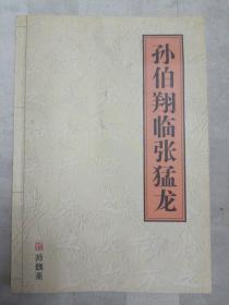 孙伯翔临张猛龙（封面和扉页中间有破损，无光盘。）