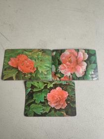 1975年精美花卉年历卡 （3张合售）