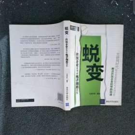 蜕变：传统企业如何向电子商务转型