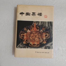 中国菜谱 （广东）精装本