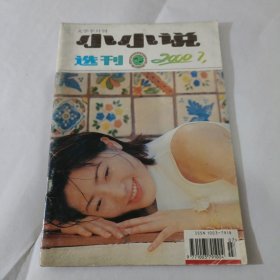 小小说选刊2000年7期