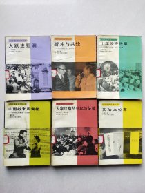 40年国是反思丛书（六册）