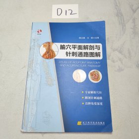 腧穴平面解剖与针刺通路图解 （无光盘）