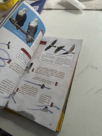 博物2019年.01,05,07,10,11,五本合售