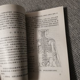 脊柱相关疾病——骨伤科临床诊疗丛书