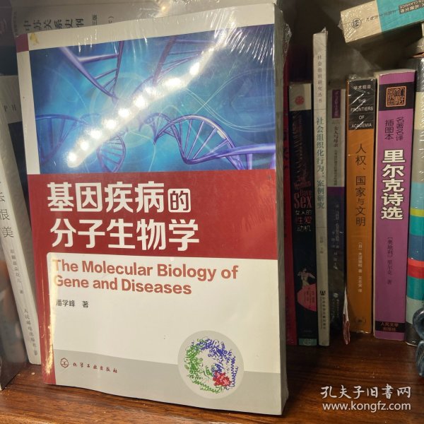 基因疾病的分子生物学