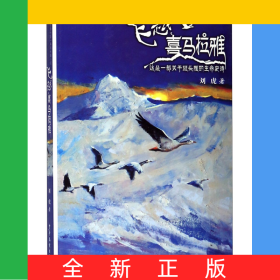 飛越喜馬拉雅/生命傳奇系列長(zhǎng)篇小說