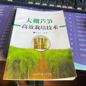大鵬蘆筍高效栽培技術(shù)