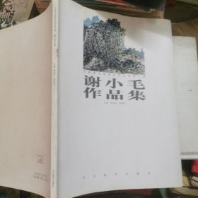 谢小毛作品集