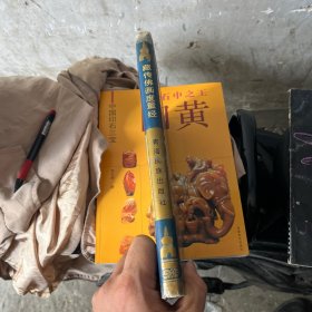 藏传佛画度量经(修订再版)