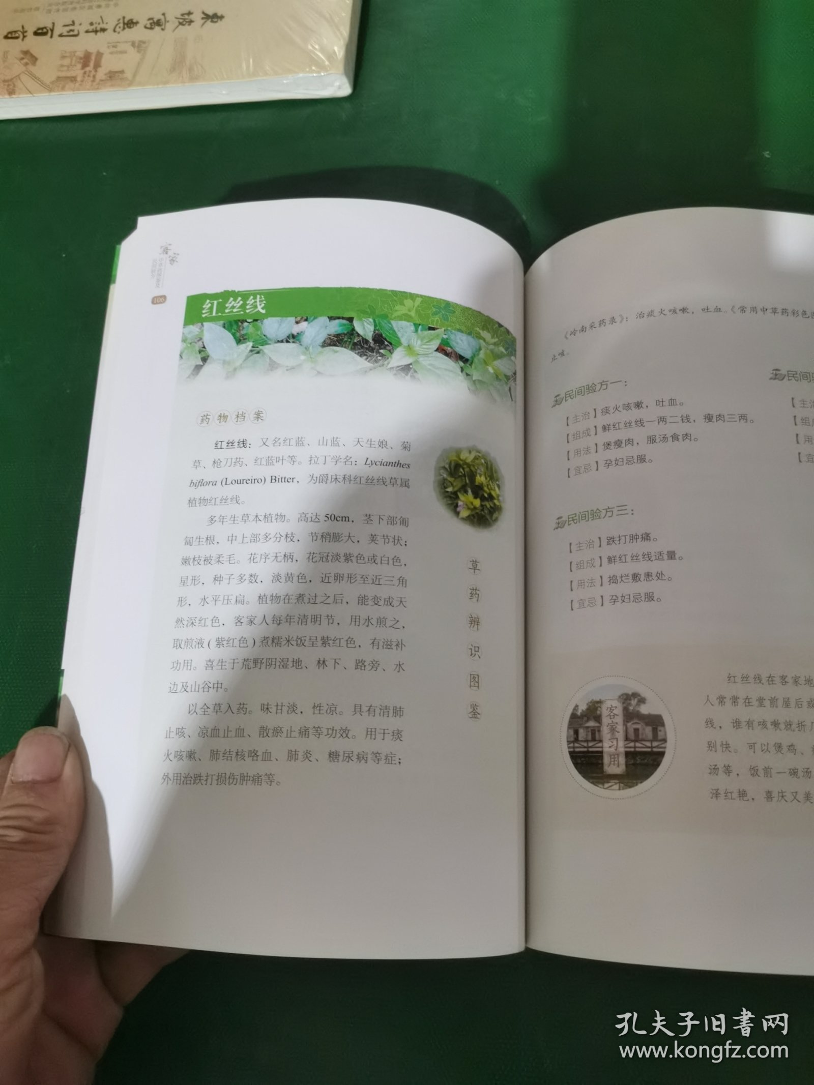 客家中草药图鉴及民间验方