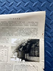 1981年编印济南趵突泉公园建设资料一份