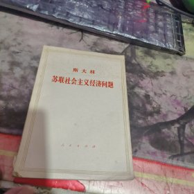 苏联社会主义经济问题、