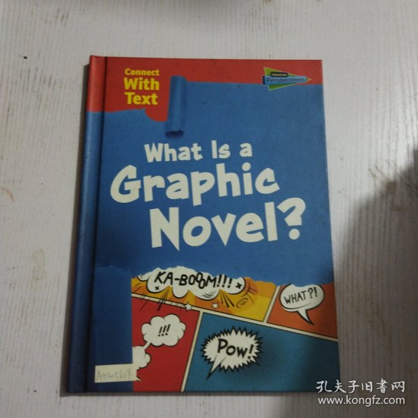 What Is a Graphic Novel