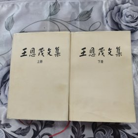 王恩茂文集（上、下）