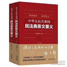 中华人民共和国民法典条文要义(上下）