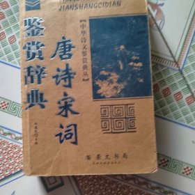 唐詩宋詞鑒賞辭典