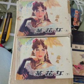 茶花女- 连环画(上下)