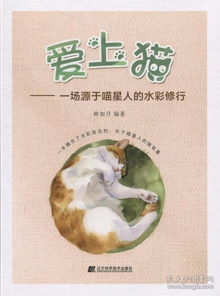 爱上猫——一场源于喵星人的水彩修行