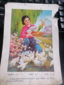 32开年画缩样散页人勤鸡壮