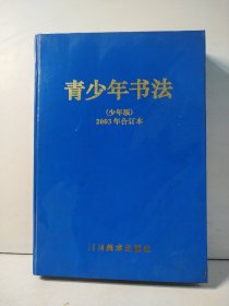 青少年书法（少年版）2003年合订本