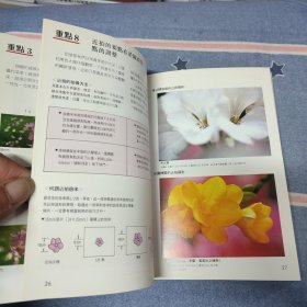 特定景物摄影技巧