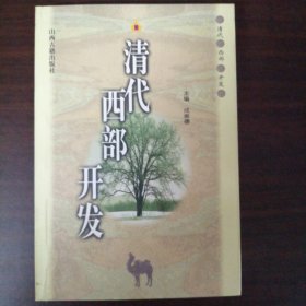 清代西部开发（全新正版未翻阅仅印1500册 是有重大学术价值和现实意义的研究课题书）