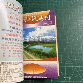 微型小说选刊2008.17-24（8册合售）