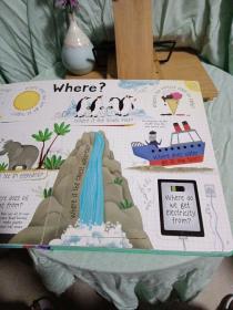 lift the flap questions and answers about our world（绘画本）