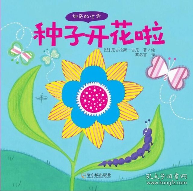 【正版书籍】XG精装绘本神奇的生命：种子开花啦