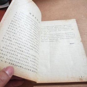 少林武术连手短打、达磨杖
