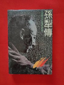 孙犁传