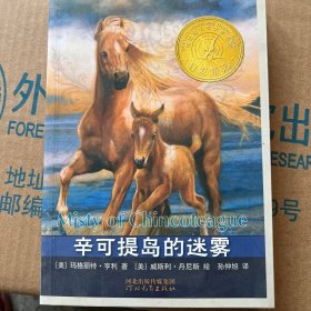 辛可提岛的迷雾