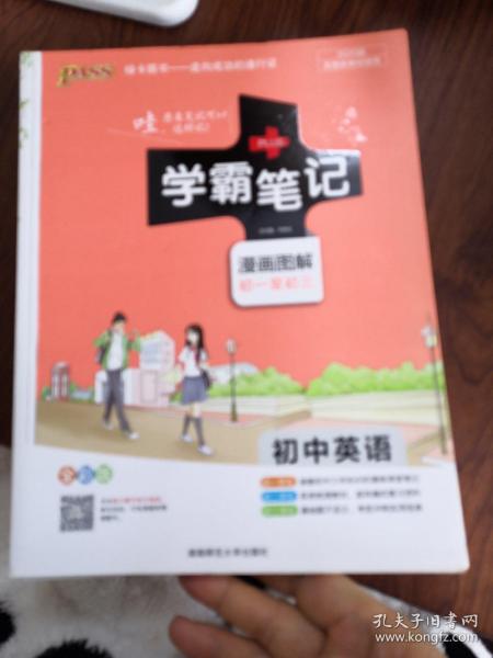 15PASS绿卡学霸笔记：初中英语（漫画图解 课堂笔记 考前冲刺 全彩版）